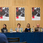 Panel discussion on She-devil <em>Photo: Boštjan Lah</em>